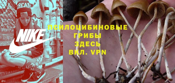 первитин Горнозаводск