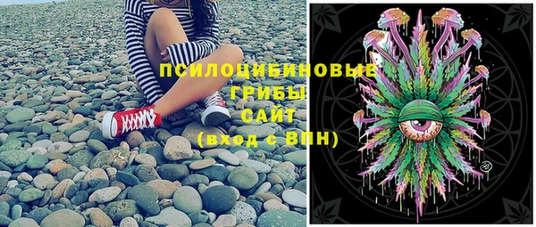 спайс Горняк