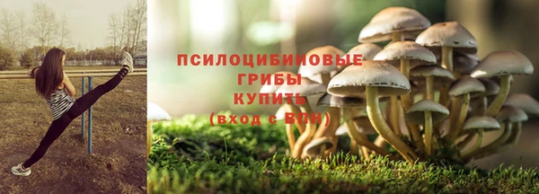 jwh Гусь-Хрустальный