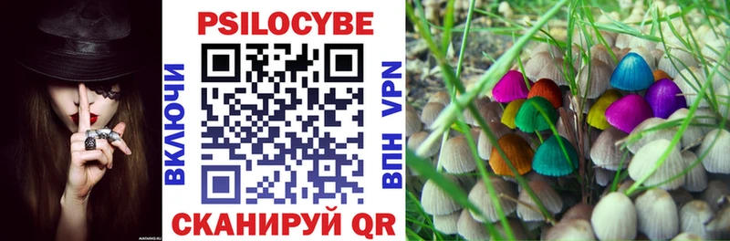 Галлюциногенные грибы Psilocybe  Купить  Яблоновский 